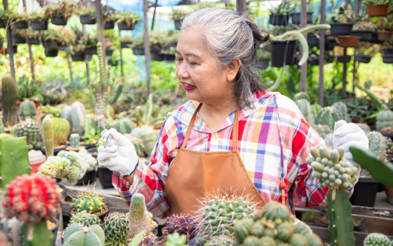 Small business digital Philippines
